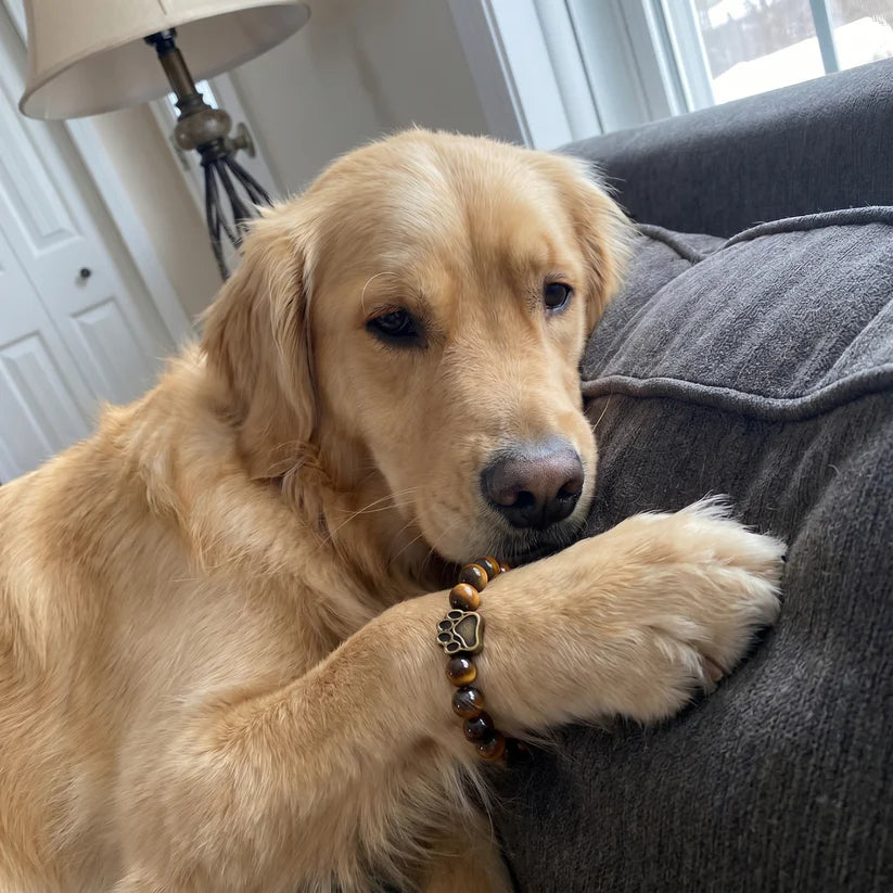 The Golden Hope Bracelet
